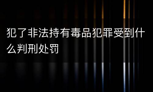 犯了非法持有毒品犯罪受到什么判刑处罚