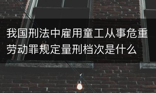 我国刑法中雇用童工从事危重劳动罪规定量刑档次是什么