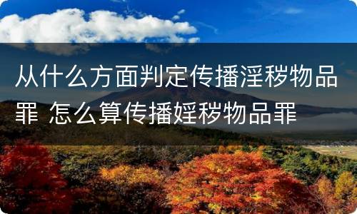 从什么方面判定传播淫秽物品罪 怎么算传播婬秽物品罪