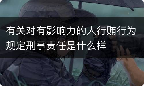 有关对有影响力的人行贿行为规定刑事责任是什么样