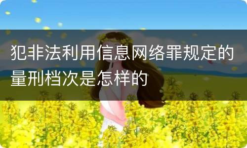 犯非法利用信息网络罪规定的量刑档次是怎样的