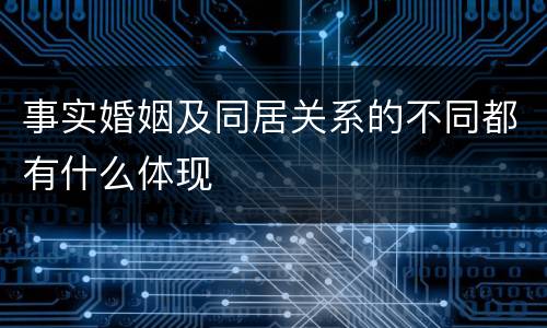事实婚姻及同居关系的不同都有什么体现