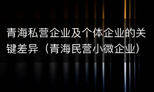 青海私营企业及个体企业的关键差异（青海民营小微企业）