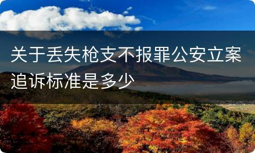 关于丢失枪支不报罪公安立案追诉标准是多少