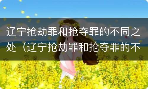辽宁抢劫罪和抢夺罪的不同之处（辽宁抢劫罪和抢夺罪的不同之处在于）