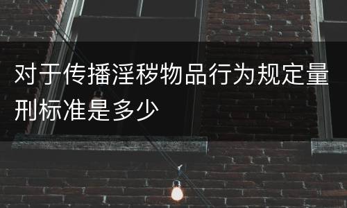 对于传播淫秽物品行为规定量刑标准是多少