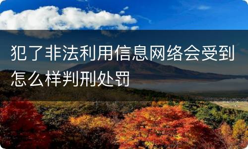 犯了非法利用信息网络会受到怎么样判刑处罚