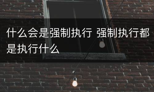 什么会是强制执行 强制执行都是执行什么