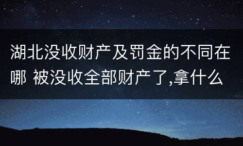 湖北没收财产及罚金的不同在哪 被没收全部财产了,拿什么交罚金