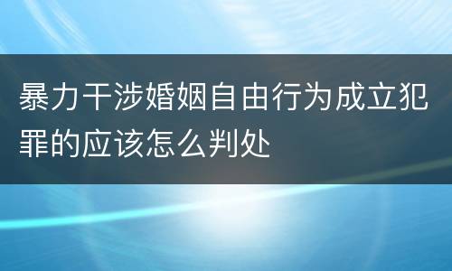 暴力干涉婚姻自由行为成立犯罪的应该怎么判处