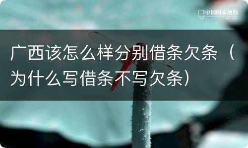 广西该怎么样分别借条欠条（为什么写借条不写欠条）