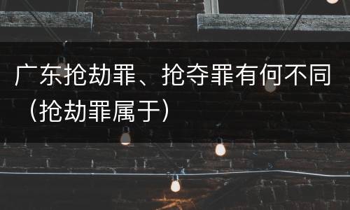 广东抢劫罪、抢夺罪有何不同（抢劫罪属于）