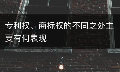 专利权、商标权的不同之处主要有何表现