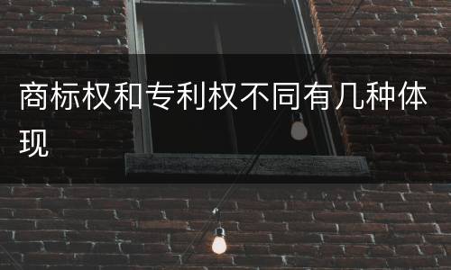 商标权和专利权不同有几种体现