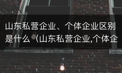 山东私营企业、个体企业区别是什么（山东私营企业,个体企业区别是什么意思）