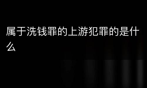 属于洗钱罪的上游犯罪的是什么