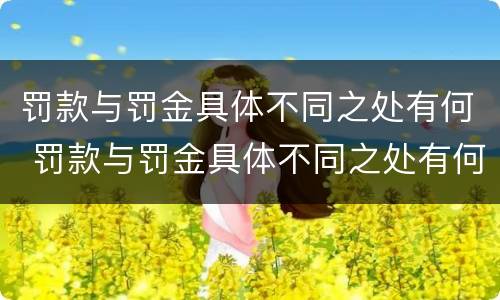 罚款与罚金具体不同之处有何 罚款与罚金具体不同之处有何区别