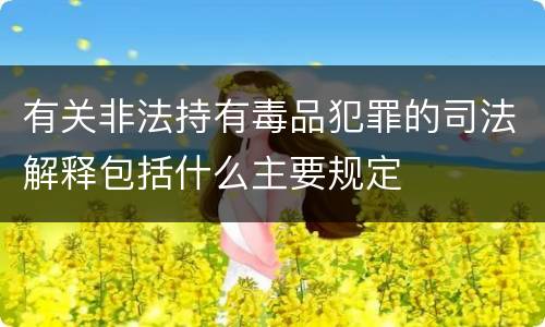 有关非法持有毒品犯罪的司法解释包括什么主要规定