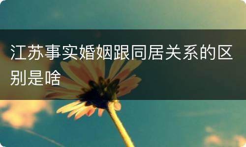 江苏事实婚姻跟同居关系的区别是啥