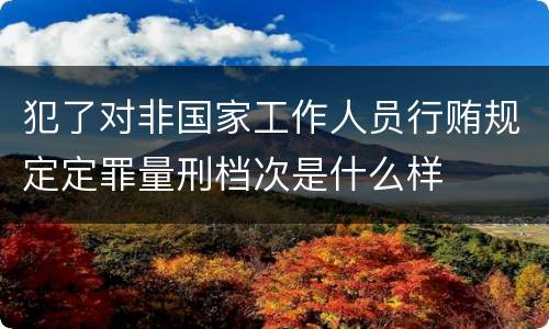犯了对非国家工作人员行贿规定定罪量刑档次是什么样