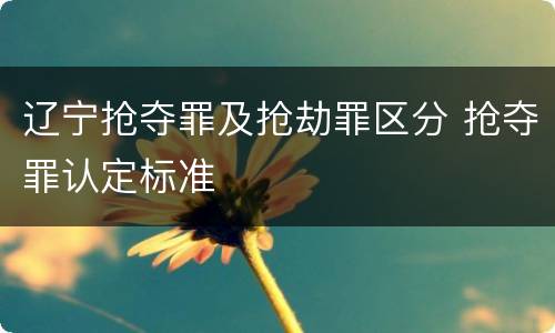 辽宁抢夺罪及抢劫罪区分 抢夺罪认定标准