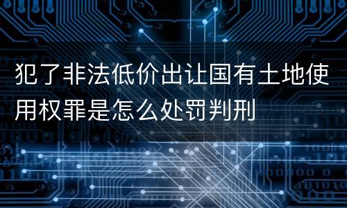 犯了非法低价出让国有土地使用权罪是怎么处罚判刑