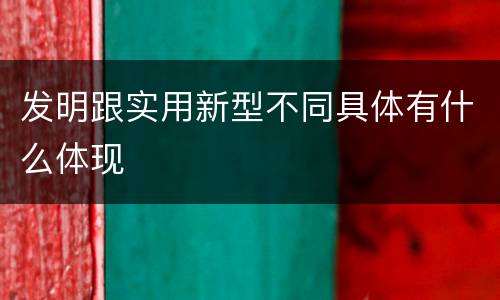 发明跟实用新型不同具体有什么体现