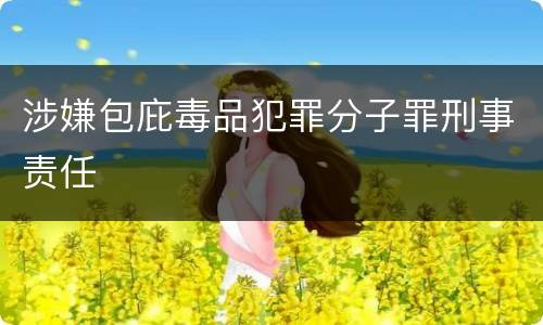涉嫌包庇毒品犯罪分子罪刑事责任