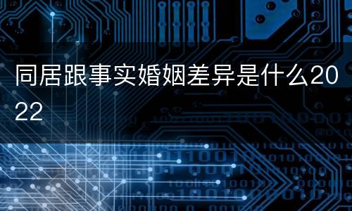 同居跟事实婚姻差异是什么2022