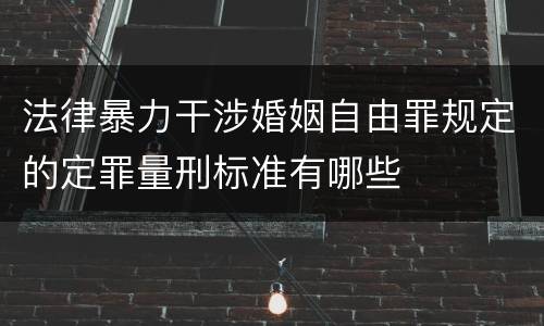 法律暴力干涉婚姻自由罪规定的定罪量刑标准有哪些