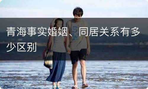 青海事实婚姻、同居关系有多少区别