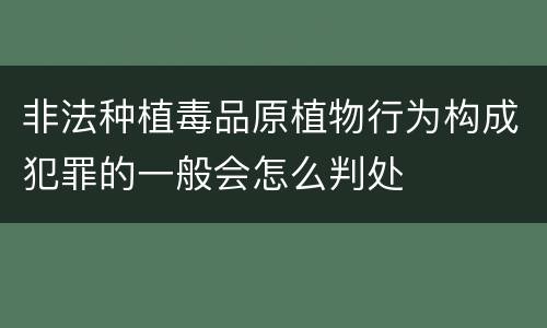 非法种植毒品原植物行为构成犯罪的一般会怎么判处