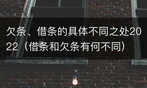 欠条、借条的具体不同之处2022（借条和欠条有何不同）