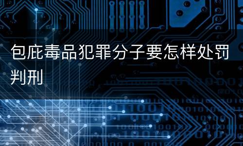 包庇毒品犯罪分子要怎样处罚判刑