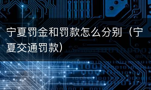 宁夏罚金和罚款怎么分别（宁夏交通罚款）