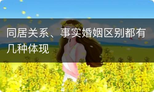 同居关系、事实婚姻区别都有几种体现