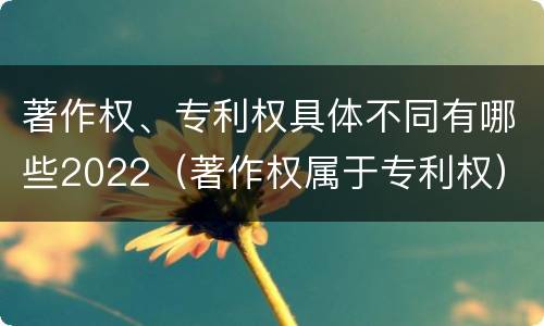 著作权、专利权具体不同有哪些2022（著作权属于专利权）