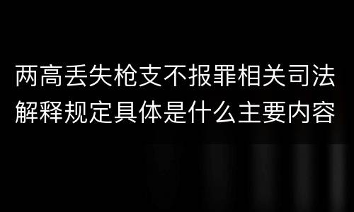 两高丢失枪支不报罪相关司法解释规定具体是什么主要内容