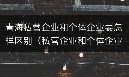 青海私营企业和个体企业要怎样区别（私营企业和个体企业有什么区别）