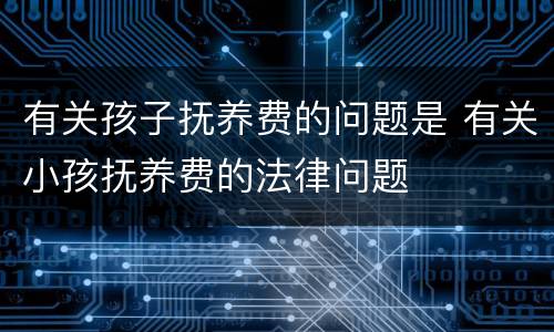 有关孩子抚养费的问题是 有关小孩抚养费的法律问题