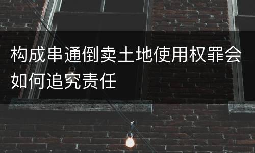 构成串通倒卖土地使用权罪会如何追究责任
