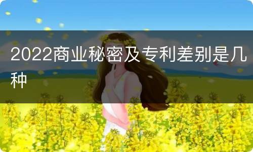 2022商业秘密及专利差别是几种