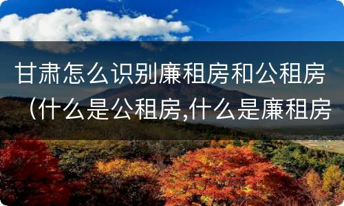甘肃怎么识别廉租房和公租房（什么是公租房,什么是廉租房）