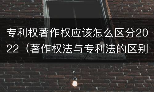 专利权著作权应该怎么区分2022（著作权法与专利法的区别）