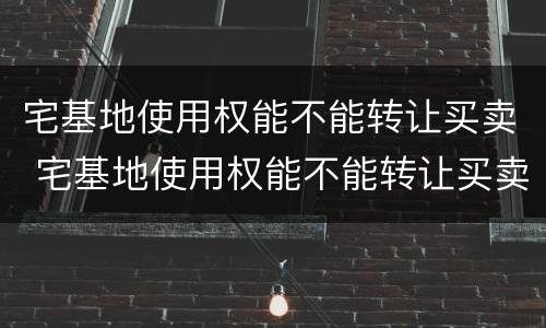 宅基地使用权能不能转让买卖 宅基地使用权能不能转让买卖