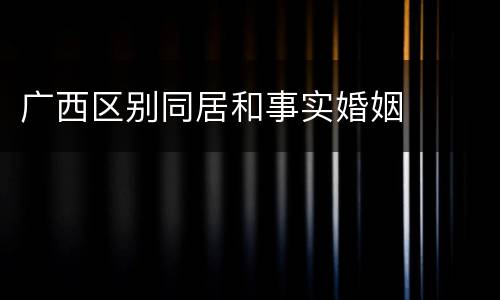 广西区别同居和事实婚姻