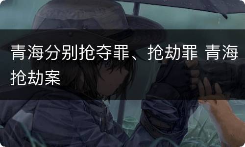 青海分别抢夺罪、抢劫罪 青海抢劫案