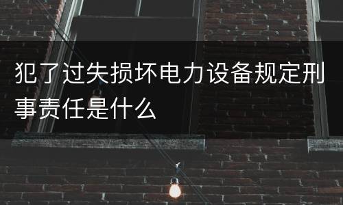 犯了过失损坏电力设备规定刑事责任是什么