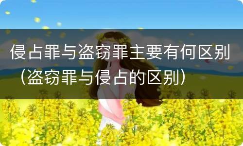 侵占罪与盗窃罪主要有何区别（盗窃罪与侵占的区别）