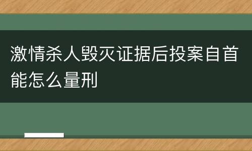 激情杀人毁灭证据后投案自首能怎么量刑
